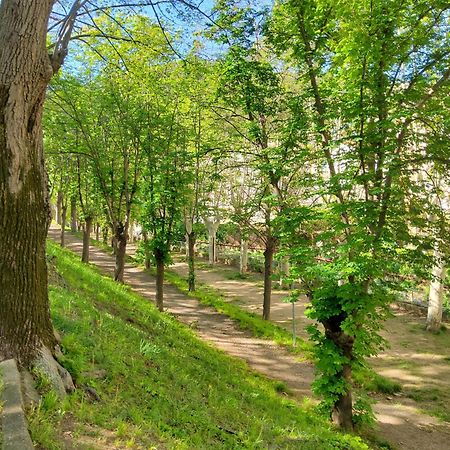 Appartement A Beholding Sight Amélie-les-Bains-Palalda المظهر الخارجي الصورة