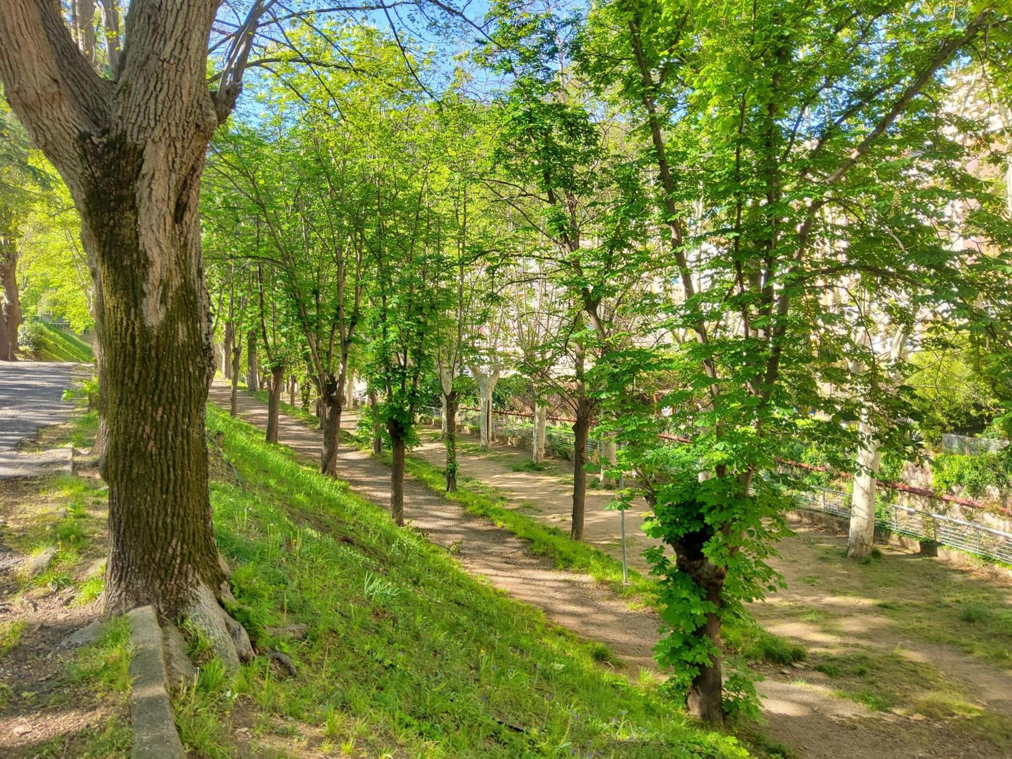 Appartement A Beholding Sight Amélie-les-Bains-Palalda المظهر الخارجي الصورة